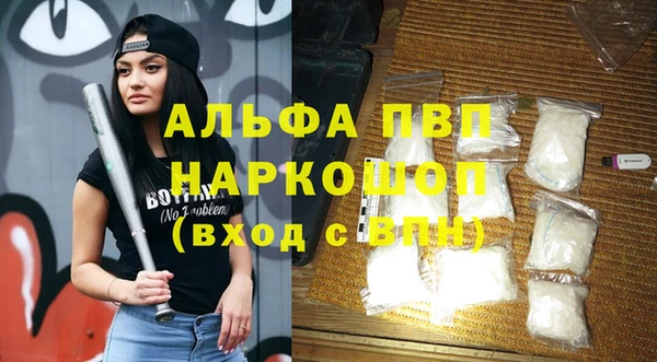 стаф Алзамай