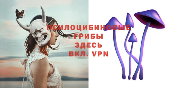 прущий лед Алексеевка