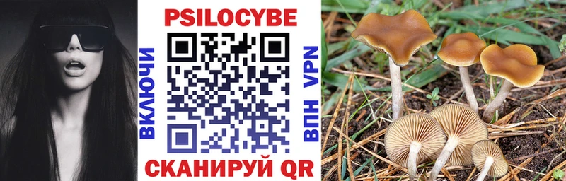 Галлюциногенные грибы Cubensis  Кашин 