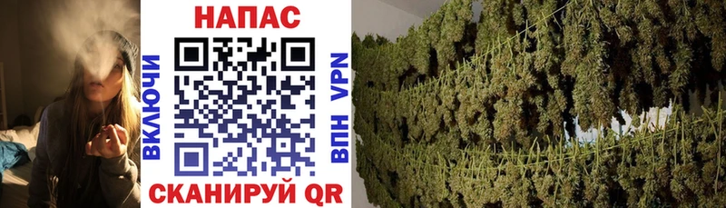 закладка  ссылка на мегу онион  Бошки марихуана THC 21%  Кашин 